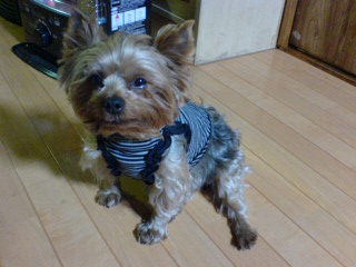 051210_2047~01.jpg