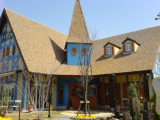 060331_1127~02.jpg