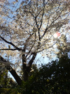 060403_0825~01.jpg