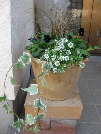 IMG_0497.JPG