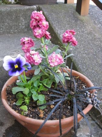 IMG_0753.JPG