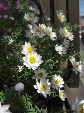 IMG_1089.JPG