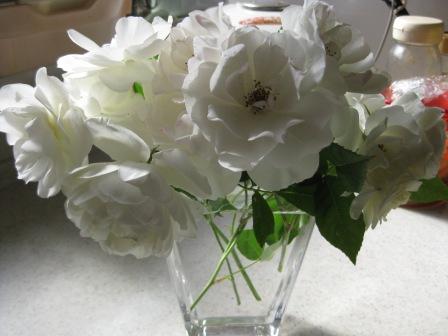 IMG_1488.JPG