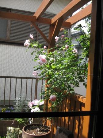 IMG_1500.JPG