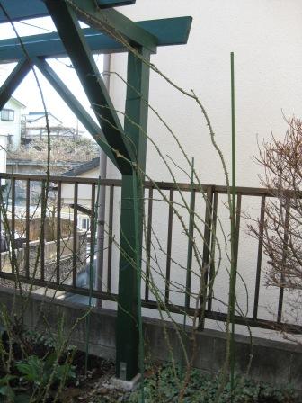 IMG_2248.JPG