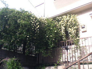 image-20120501123152.png